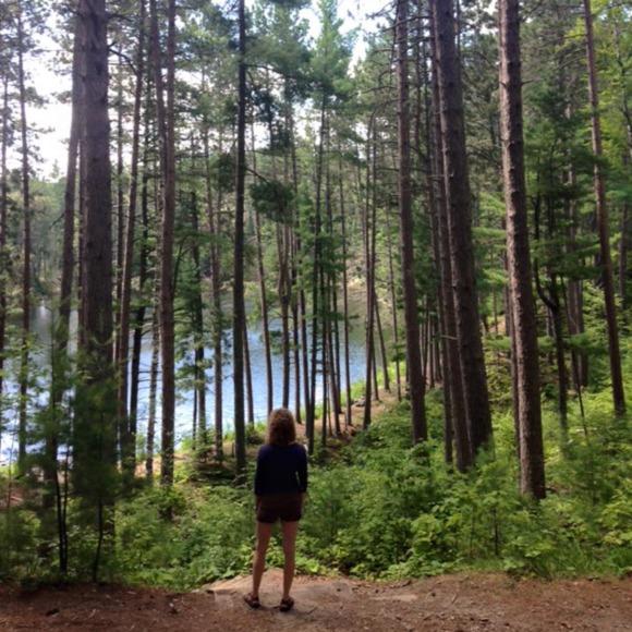 wandering_pines